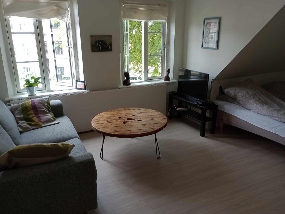 Professor Labri Apartments Оденсе Экстерьер фото